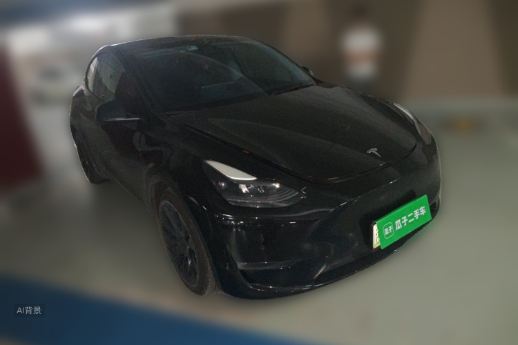 Tesla Model Y 2021 car image #4