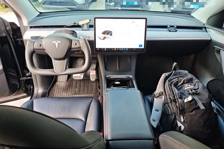 Tesla Model Y 2024 car image #10