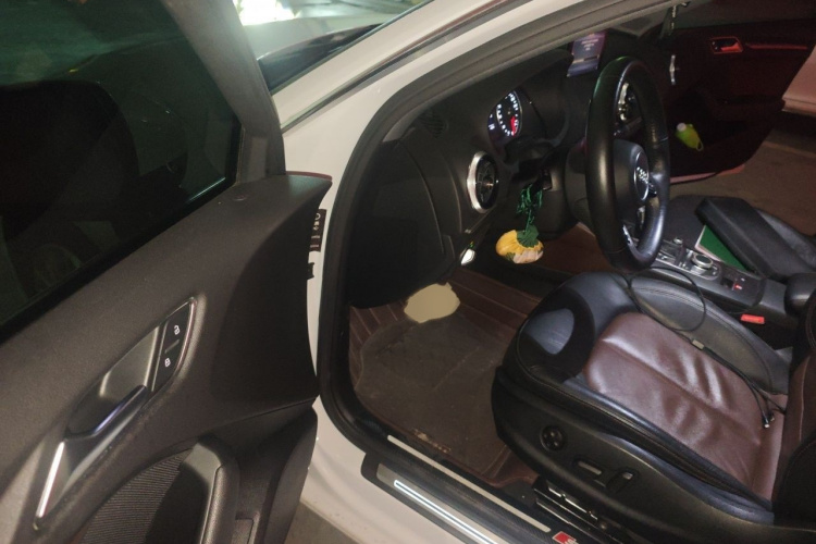 Audi A3 2018 car image #13