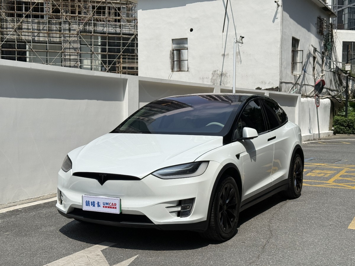 Tesla Model X 2019 Tesla Model X 2019 car image