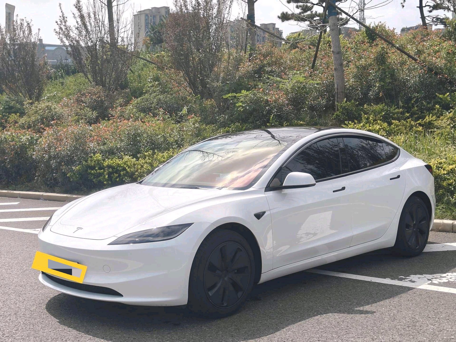 Tesla Model 3 2025 Tesla Model 3 2025 car image