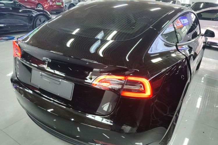 Tesla Model 3 2023 #7 Tesla Model 3 2023 car image #7