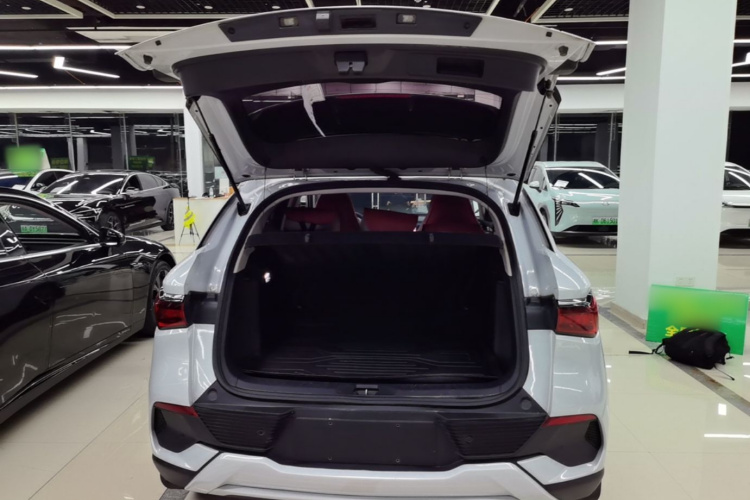 BYD Yuan Plus 2023 car image #19