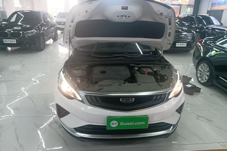 GEELY Emgrand GS 2021 #20 GEELY Emgrand GS 2021 car image #20