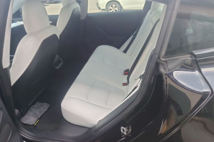 Tesla Model 3 2021 #13 Tesla Model 3 2021 car image #13