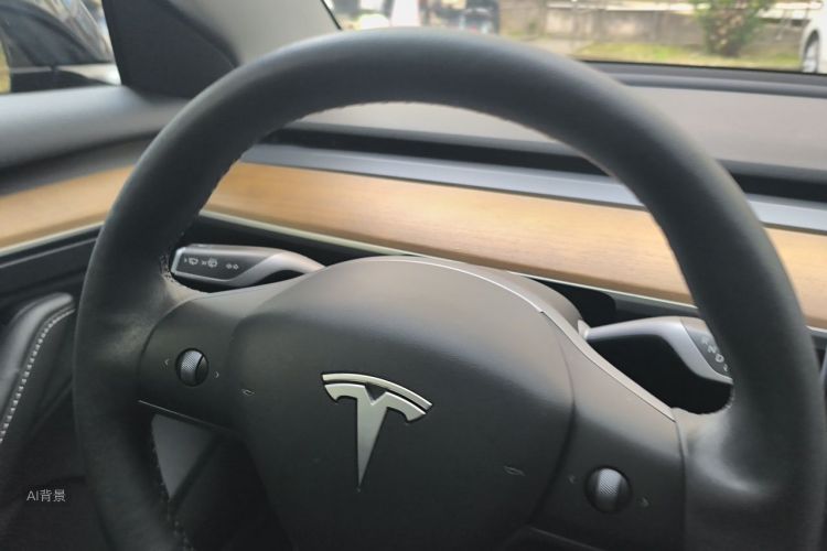 Tesla Model 3 2022 #13 Tesla Model 3 2022 صورة سيارة #13