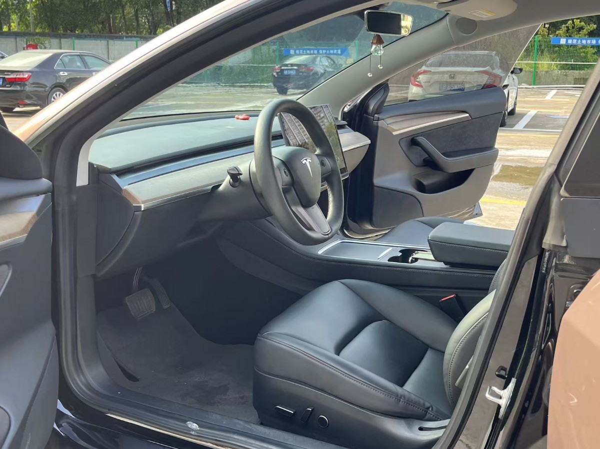 Tesla Model 3 2021 car image #10