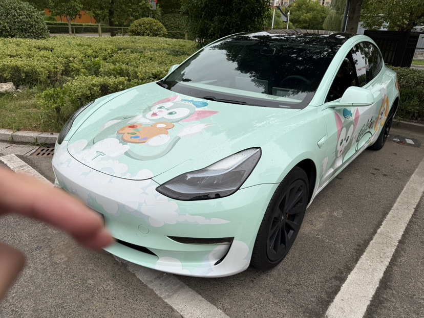 Tesla Model 3 2021 Tesla Model 3 2021 car image