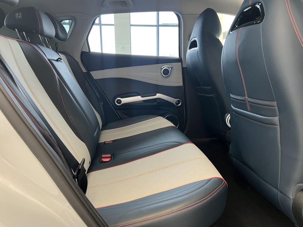 BYD Yuan Plus 2023 immagine di auto #16