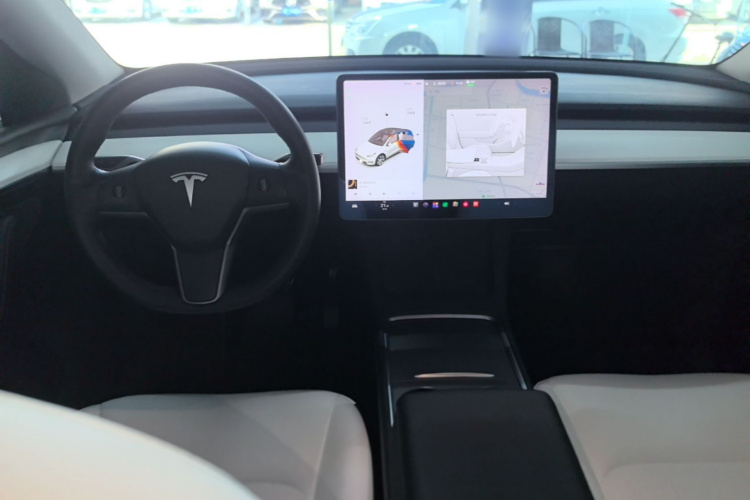 Tesla Model Y 2021 car image #10