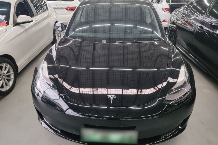 Tesla Model 3 2021 immagine di auto #3