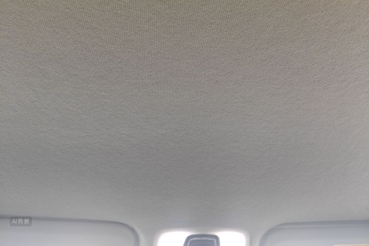 Chery Tiggo 3x 2018 car image #20