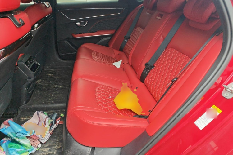 BYD Han 2021 car image #19