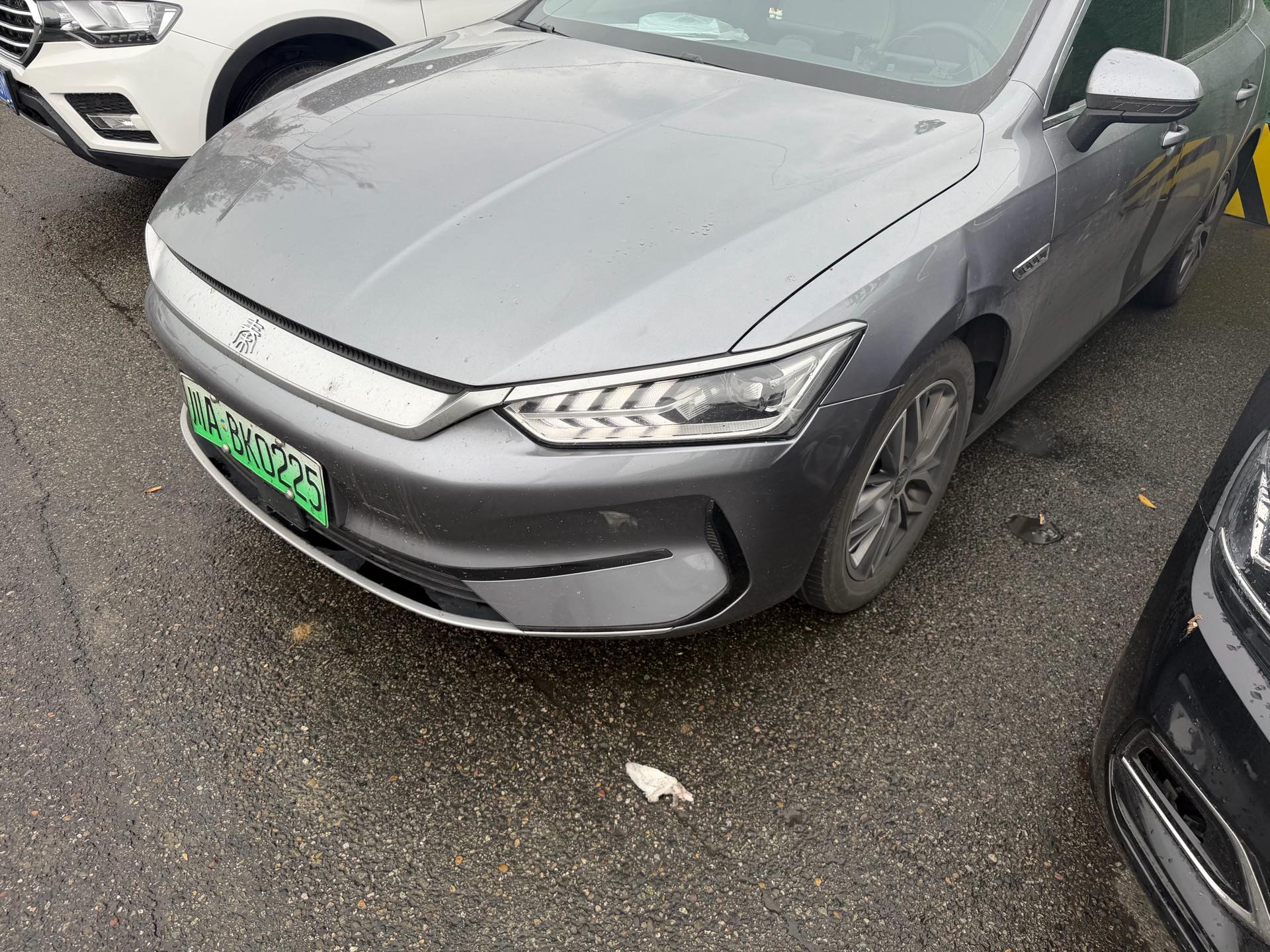 BYD Qin Plus 2024 car image 