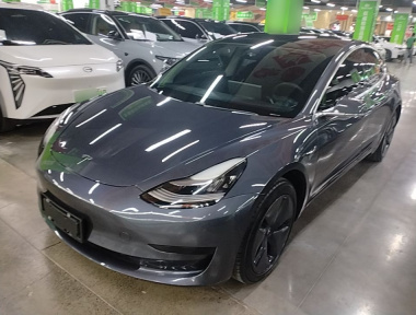 Tesla Model 3 2020 Tesla Model 3 2020 car image