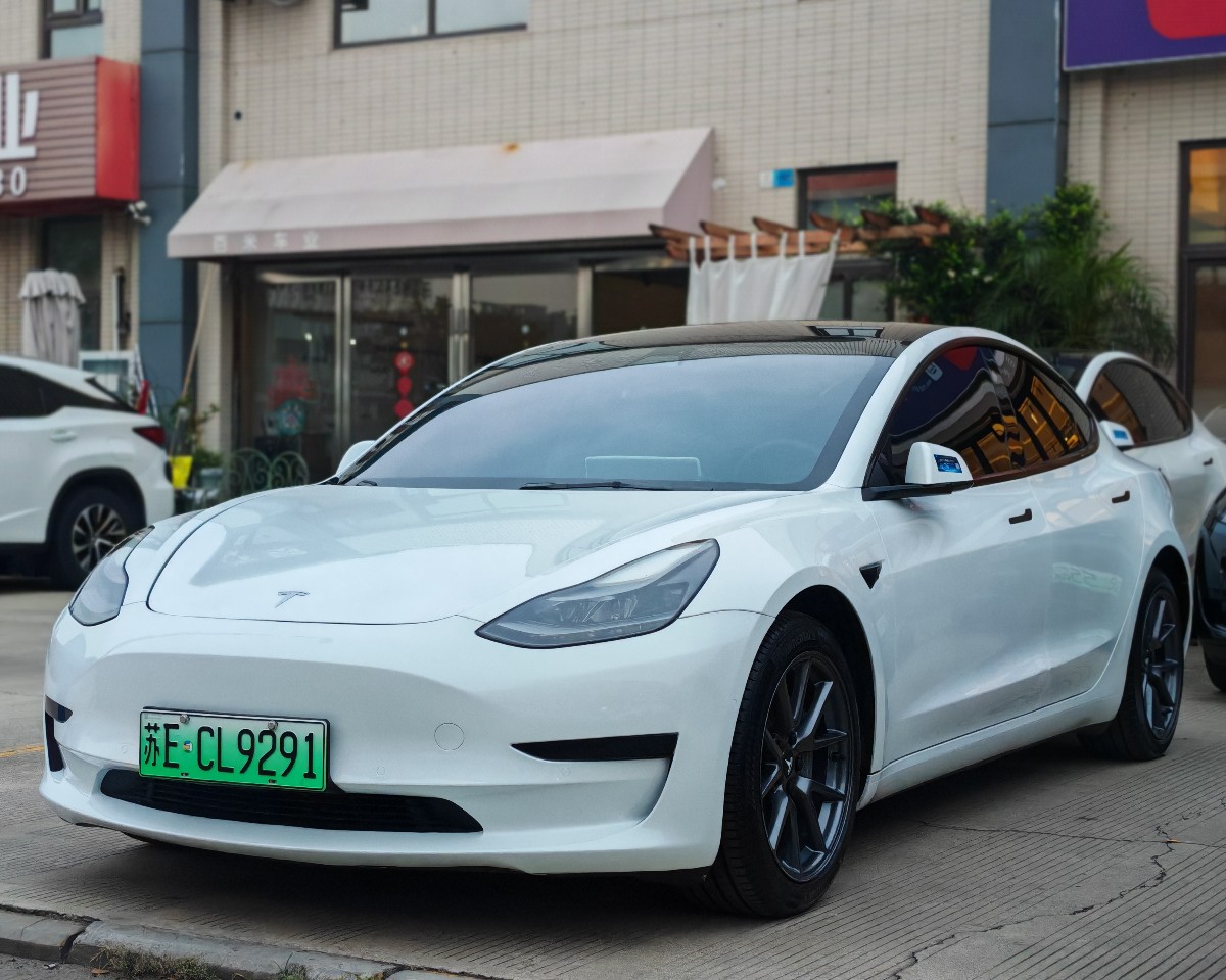 Tesla Model 3 2021 Tesla Model 3 2021 car image