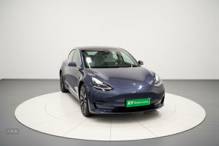 Tesla Model 3 2020 #3 Tesla Model 3 2020 car image #3