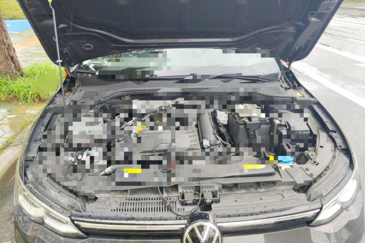 Volkswagen Golf 2021 car image #22