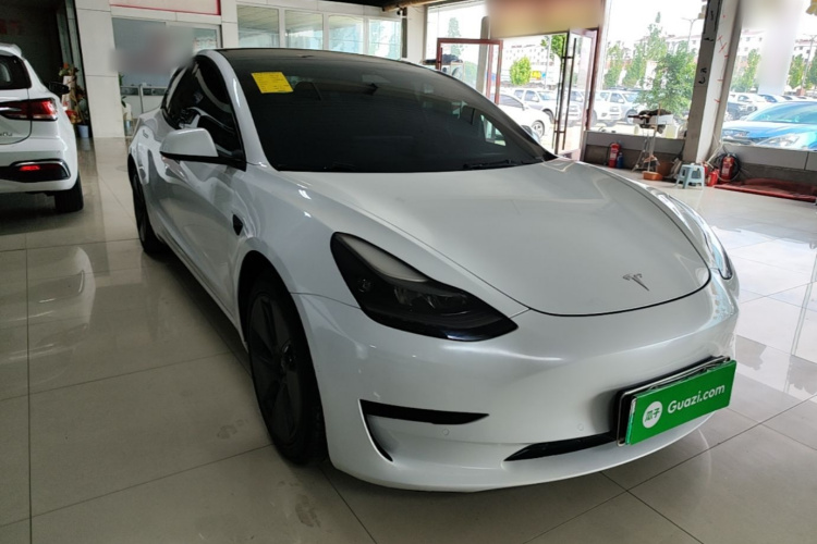 Tesla Model 3 2021 #6 Tesla Model 3 2021 car image #6