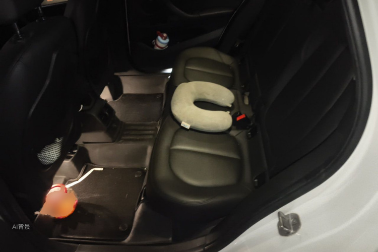 BMW X1 2017 car image #19