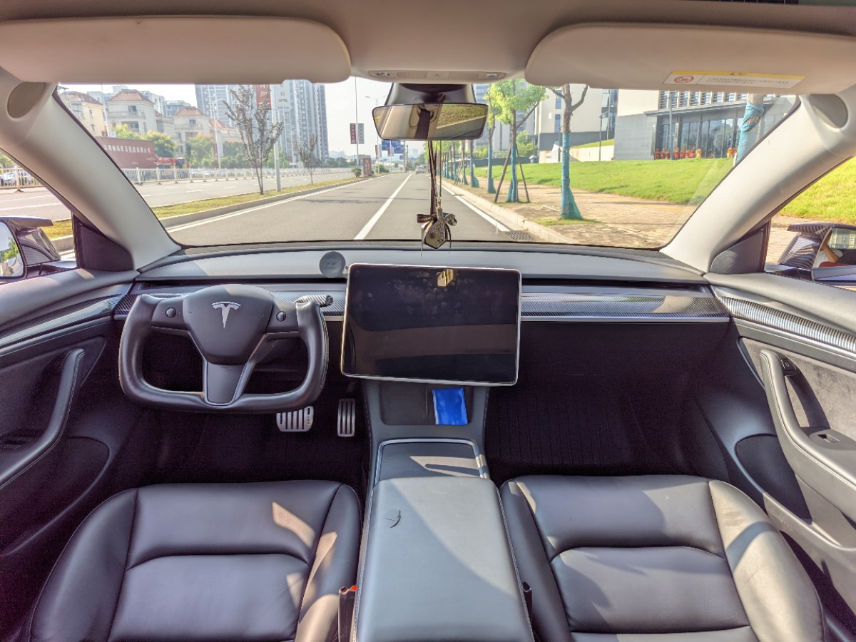 Tesla Model 3 2021 car image #8