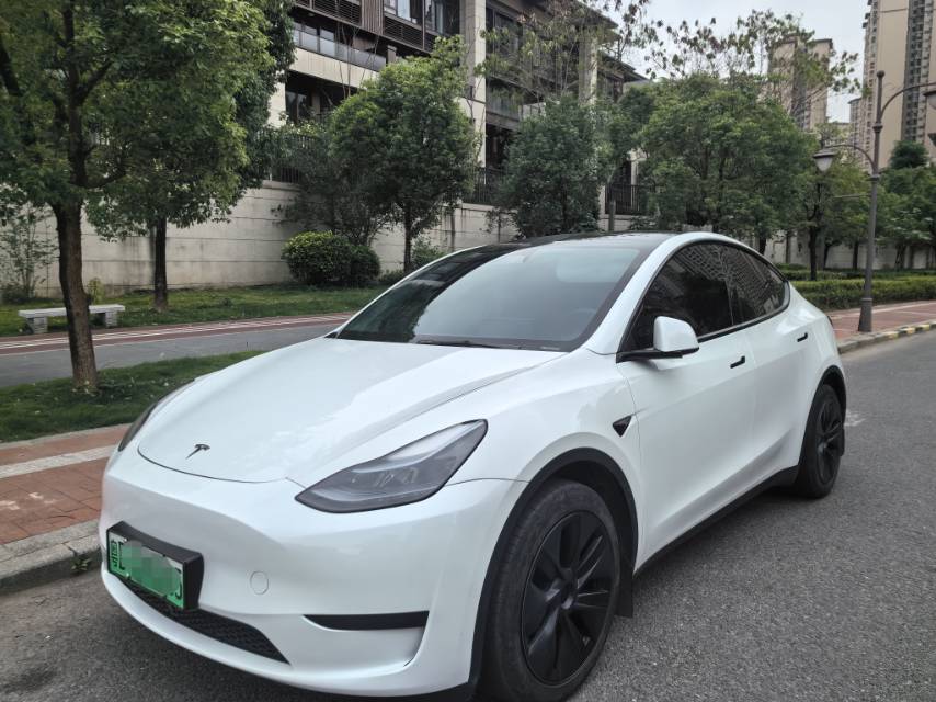 Tesla Model Y 2024 car image 