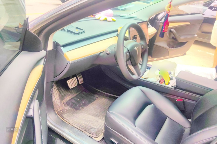 Tesla Model 3 2022 car image #18