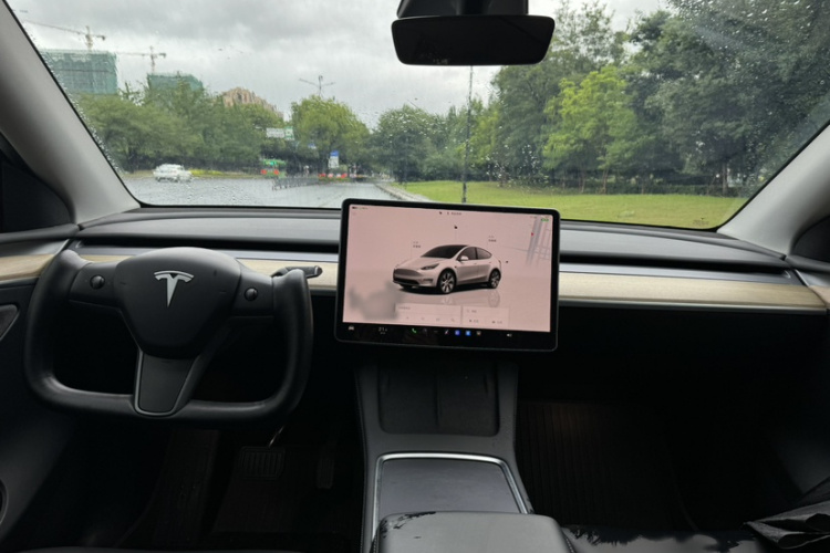 Tesla Model Y 2022 #12 Tesla Model Y 2022 car image #12