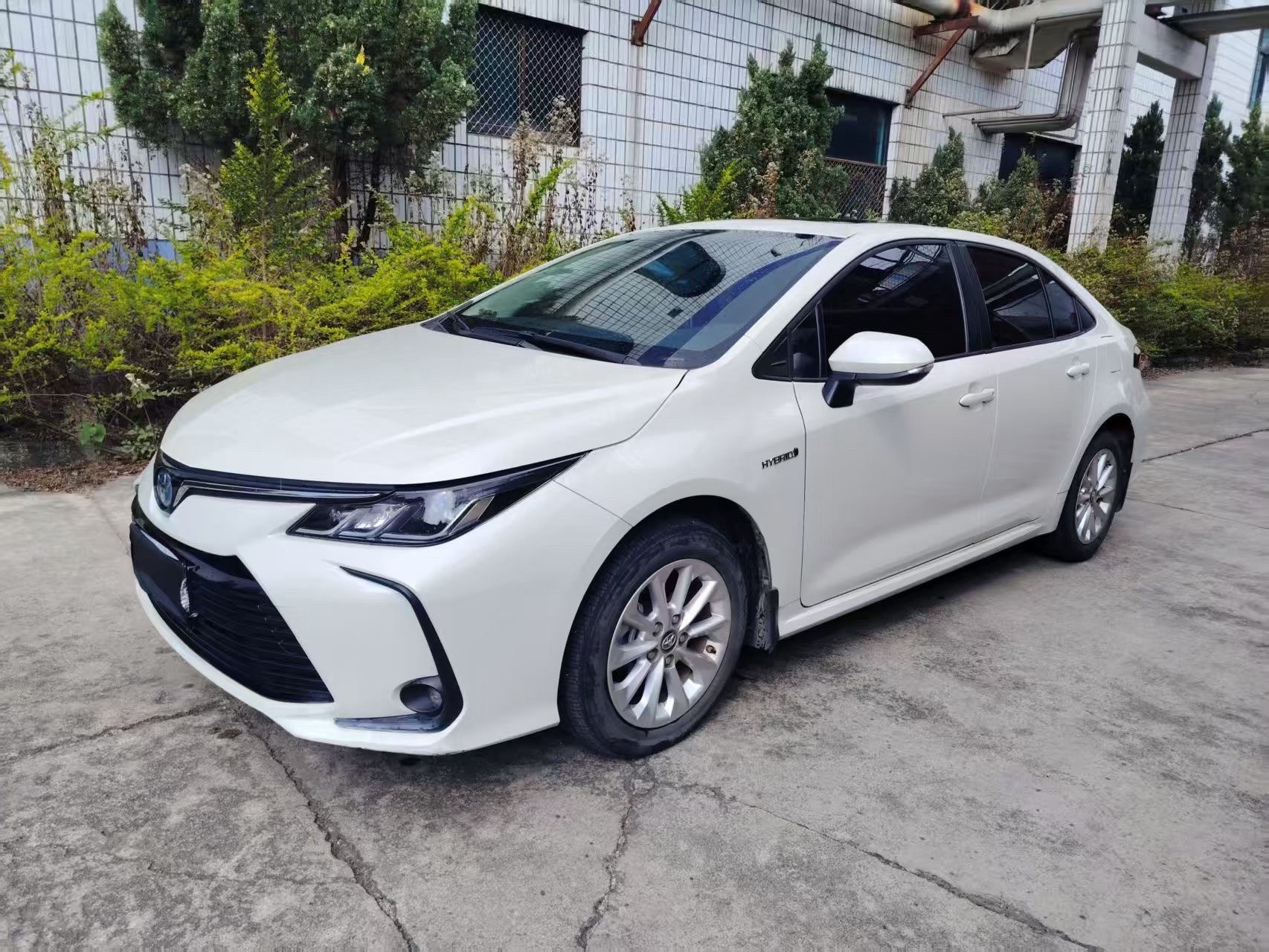 Toyota Corolla 2021 汽车图片 