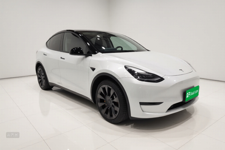 Tesla Model Y 2021 immagine di auto #4
