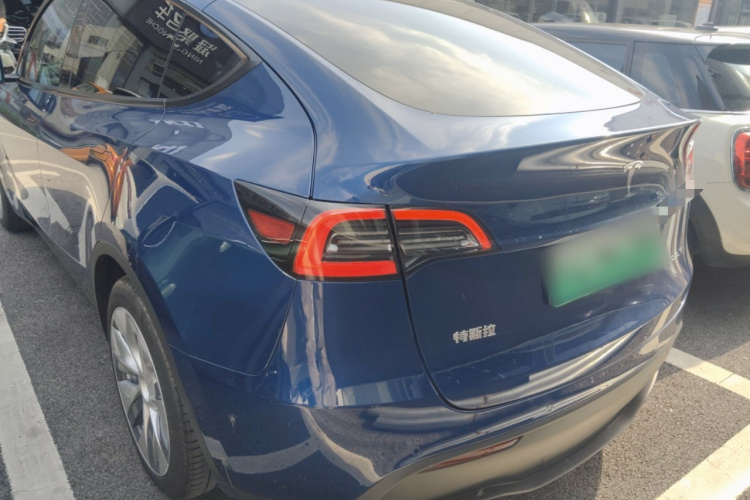 Tesla Model Y 2023 car image #6