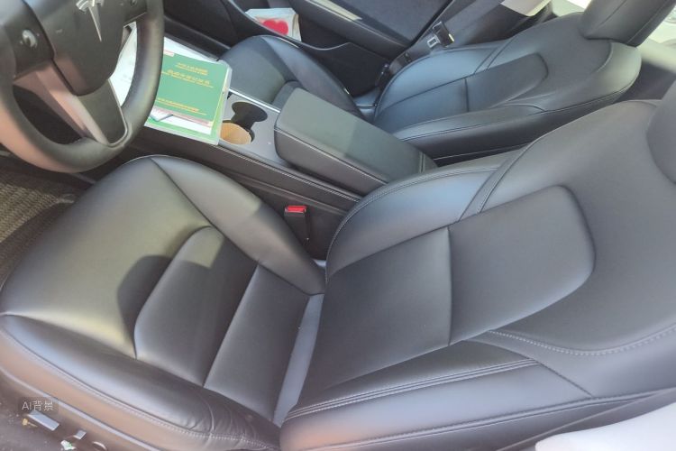 Tesla Model 3 2023 #17 Tesla Model 3 2023 صورة سيارة #17