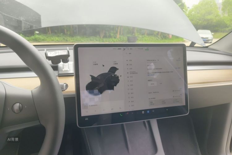 Tesla Model Y 2021 #13 Tesla Model Y 2021 car image #13