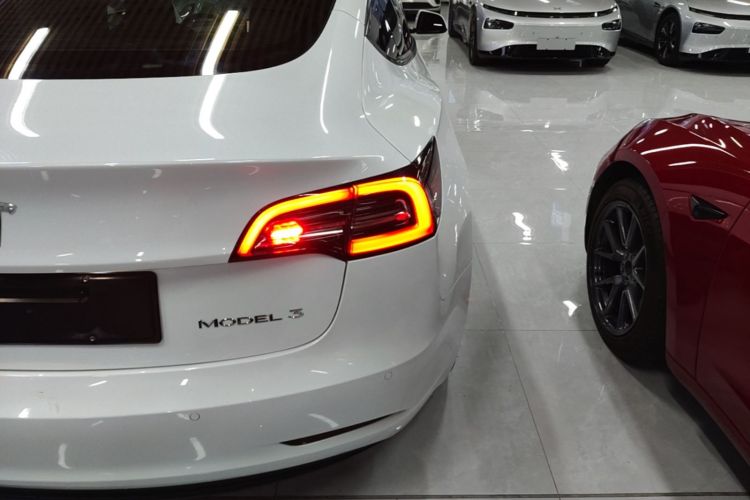 Tesla Model 3 2022 immagine di auto #8