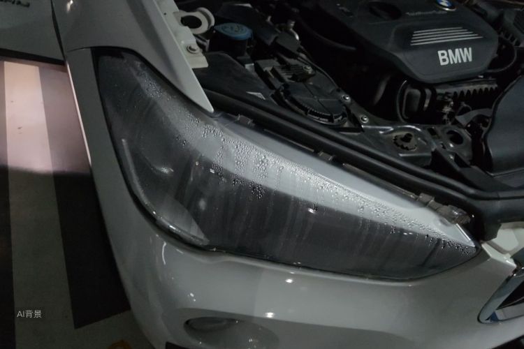 BMW X1 2017 car image #8