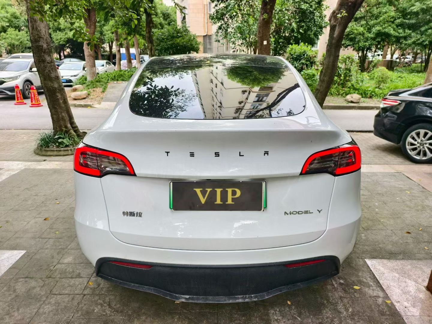 Tesla Model Y 2023 #5 Tesla Model Y 2023 car image #5