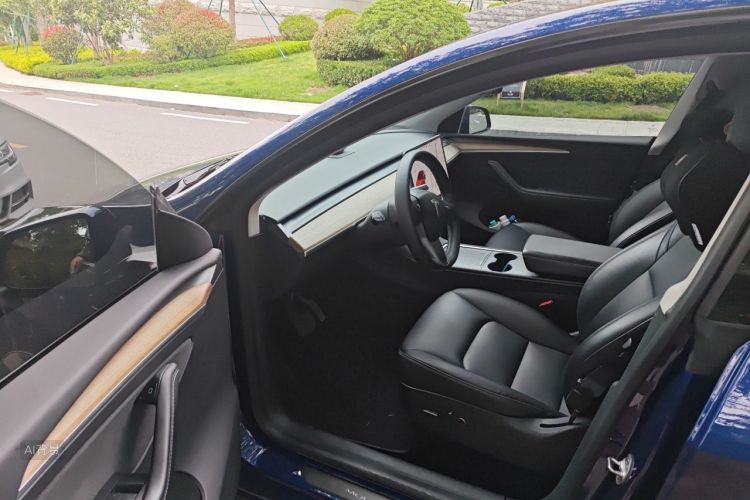 Tesla Model Y 2021 car image #18