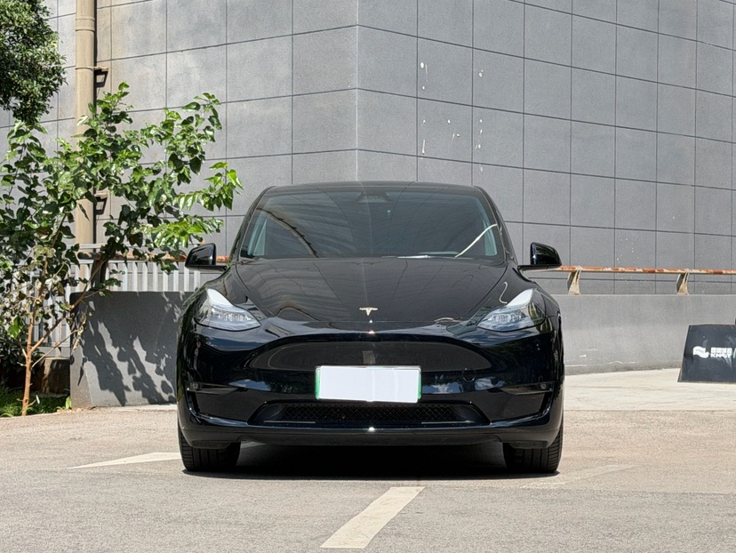 Tesla Model Y 2024 #2 Tesla Model Y 2024 car image #2