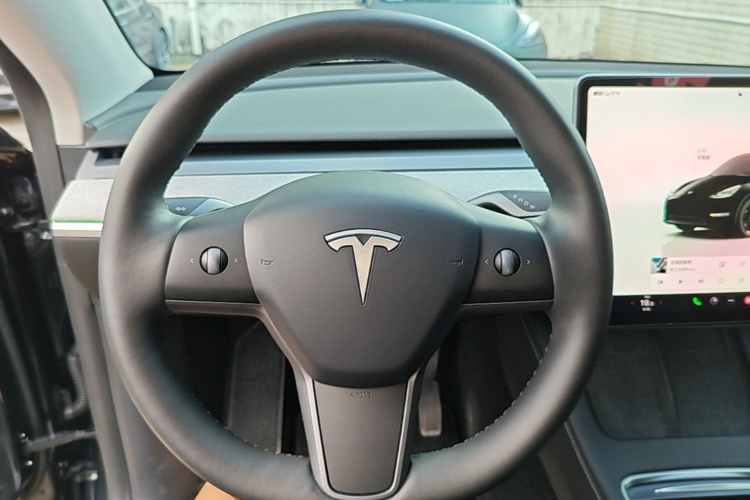 Tesla Model Y 2024 car image #16