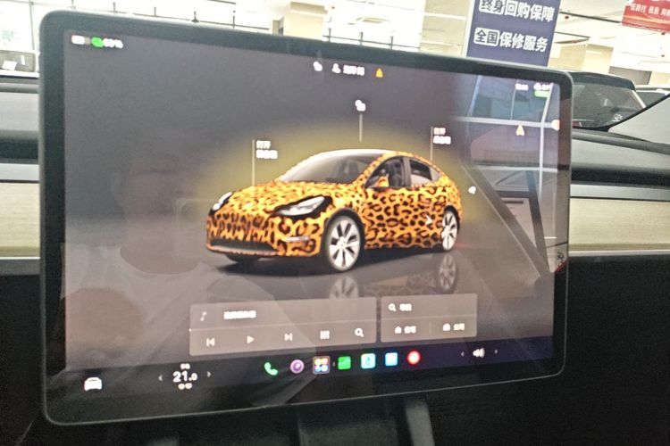Tesla Model Y 2023 #13 Tesla Model Y 2023 car image #13