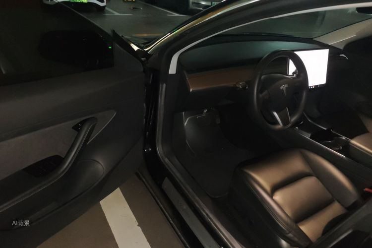 Tesla Model 3 2020 car image #18