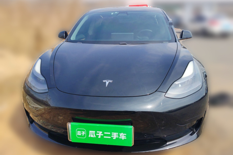 Tesla Model 3 2021 #3 Tesla Model 3 2021 car image #3