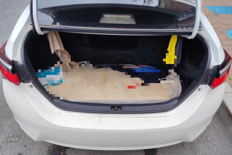 Toyota Corolla 2019 car image #21