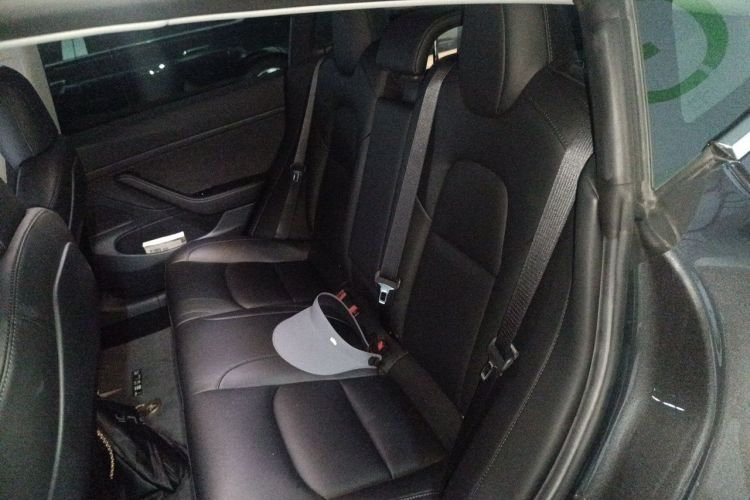 Tesla Model 3 2020 car image #10