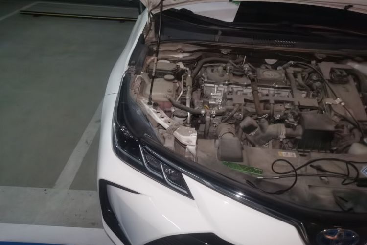 Toyota Corolla 2021 #25 Toyota Corolla 2021 car image #25
