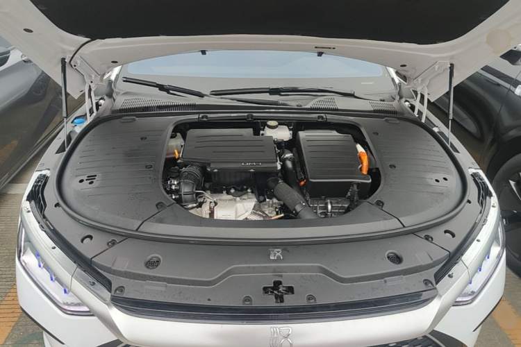 BYD Han 2022 car image #20