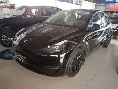 Tesla Model Y 2021 Tesla Model Y 2021 car image