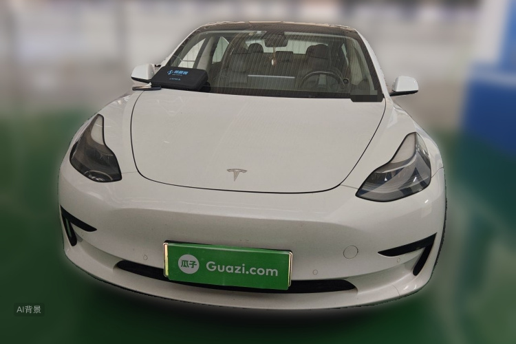 Tesla Model 3 2021 #3 Tesla Model 3 2021 car image #3