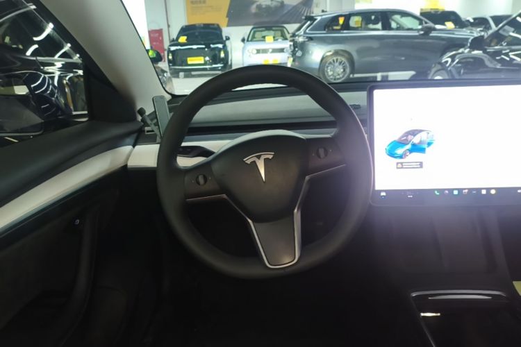 Tesla Model 3 2021 #15 Tesla Model 3 2021 car image #15