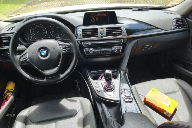 BMW 3 Series 2016 car image #11